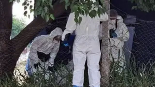 Macabro hallazgo en una cancha de fútbol que dejó a todos conmovidos