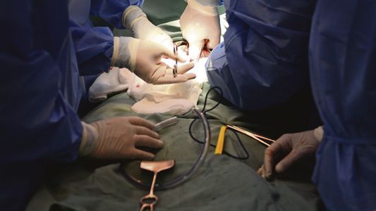 La cifra millonaria que recibirá un hombre tras quedar mudo por mala praxis