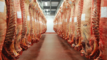 Tras la polémica, se retrasó la venta de cortes de carne a precios populares en el Mercado Central