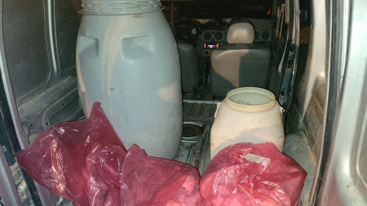 Decomisaron más de16 mil kilos de achuras en Santa Fe (Foto: NA).
