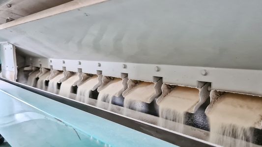 Nuevos precios de referencia para el trigo: cuánto cobrarán los molinos por la harina subsidiada