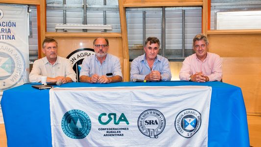 Retenciones: a la par de las protestas en las rutas, la Mesa de Enlace comienza con su estrategia legislativa