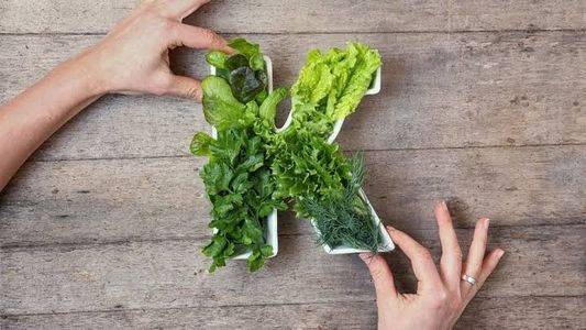 Vitamina K baja: cómo detectar a tiempo la deficiencia y qué hacer para corregirla
