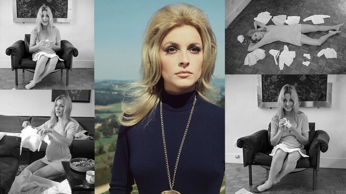 Sharon Tate, actriz joven, en ascenso y modelo de la belleza en los años 60. (Foto: Gentileza The observer)
