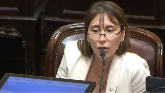 Una senadora de Unión por la Patria apuntó contra Javier Milei: Es un enfermo mental