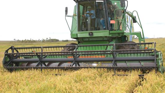 Incertidumbre en las economías regionales ante aumento de retenciones