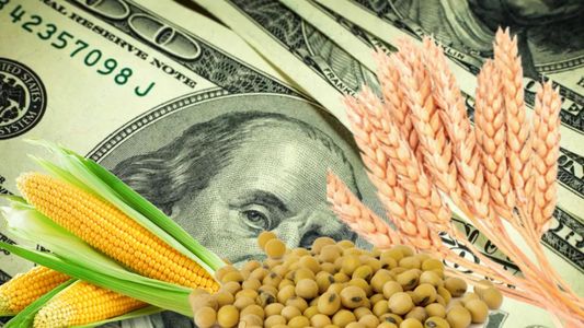 Dólar agro: quiénes accederán y de cuánto será el nuevo tipo de cambio que anunciará Sergio Massa