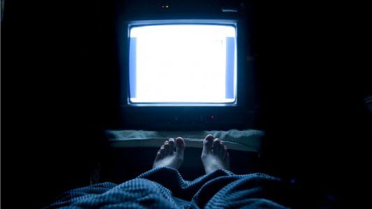 Juicios Mediáticos, The Last Narc y Rick and Morty: los recomendados de A24 para el fin de semana