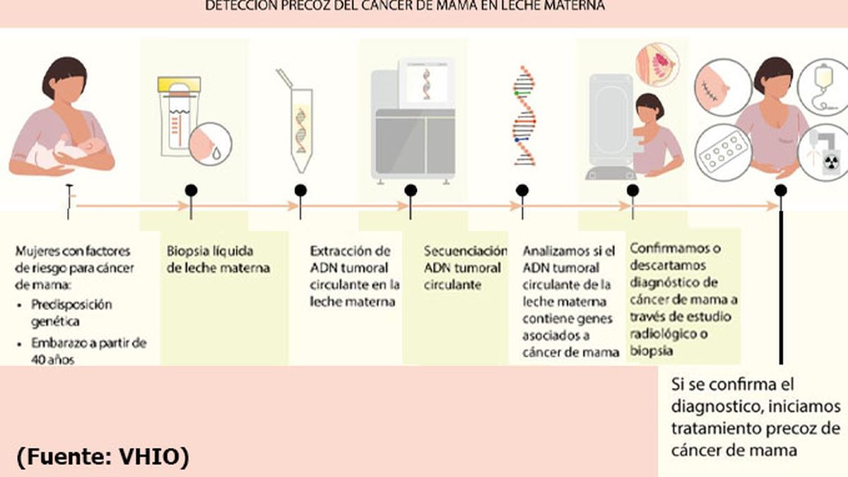 Los pasos de la biopsia líquida. (Foto: VHIO)