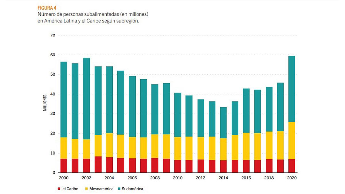 Los números se asimilan a 2002: la pandemia afectó aún más a una región muy desigual. 