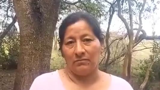 Estremecedora hipótesis sobre la desaparición de Loan que dejó a su tía Laudelina muy complicada