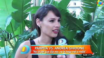 Pampita habló de Andrea Ghidone: No sé por qué dijo eso, yo no le hago mal a nadie