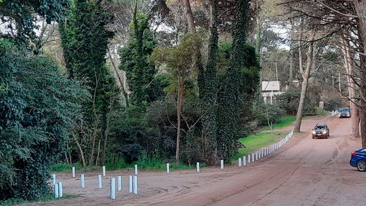 Insólito: encontraron una casa invisible en Cariló