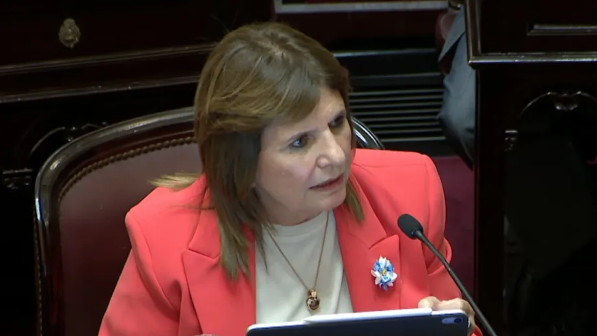 El mensaje de Patricia Bullrich por el 24 de marzo.&nbsp;