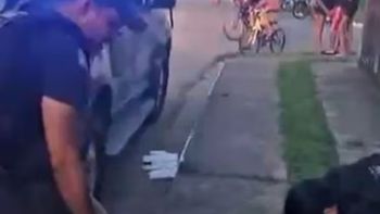 Brutal maltrato animal: cuatro jóvenes arrojaron a un perro desde una terraza