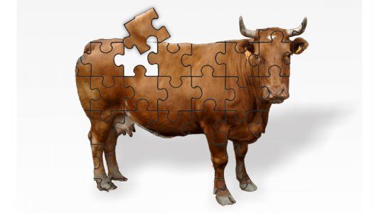 Troceo de la carne: el adiós a la media res divide al sector frigorífico