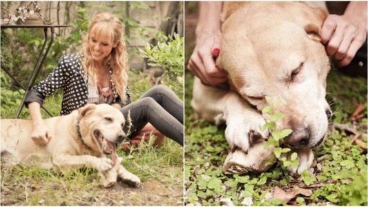 La dolorosa despedida de Mariana Fabbiani a su perro Oringo