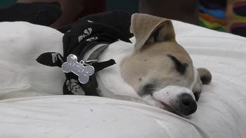 El doloroso accidente de Arturo que volvió a poner en alerta a los fanáticos de Gran Hermano