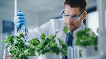 Lanzan créditos de hasta $25 millones para empresas de economía del conocimiento