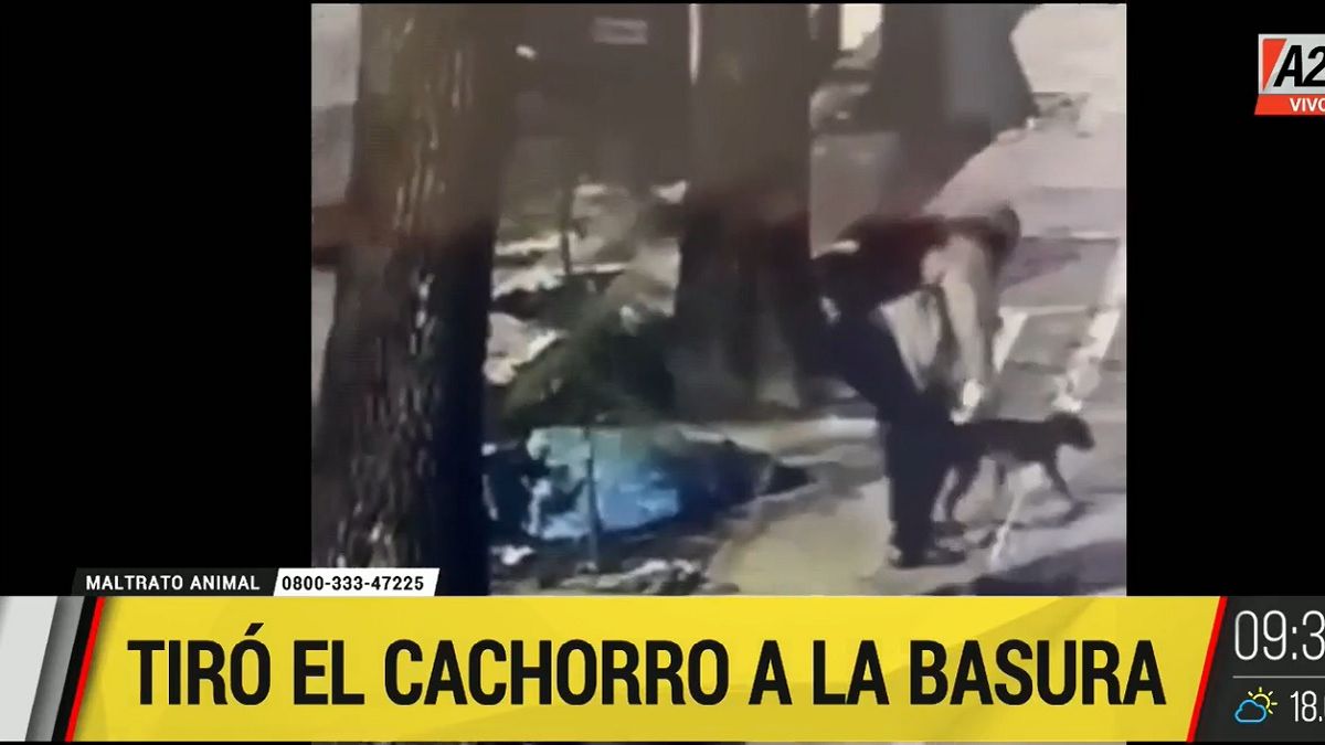 El momento en que el hombre tira al perro al contenedor. Foto: captura de Tv.&nbsp;