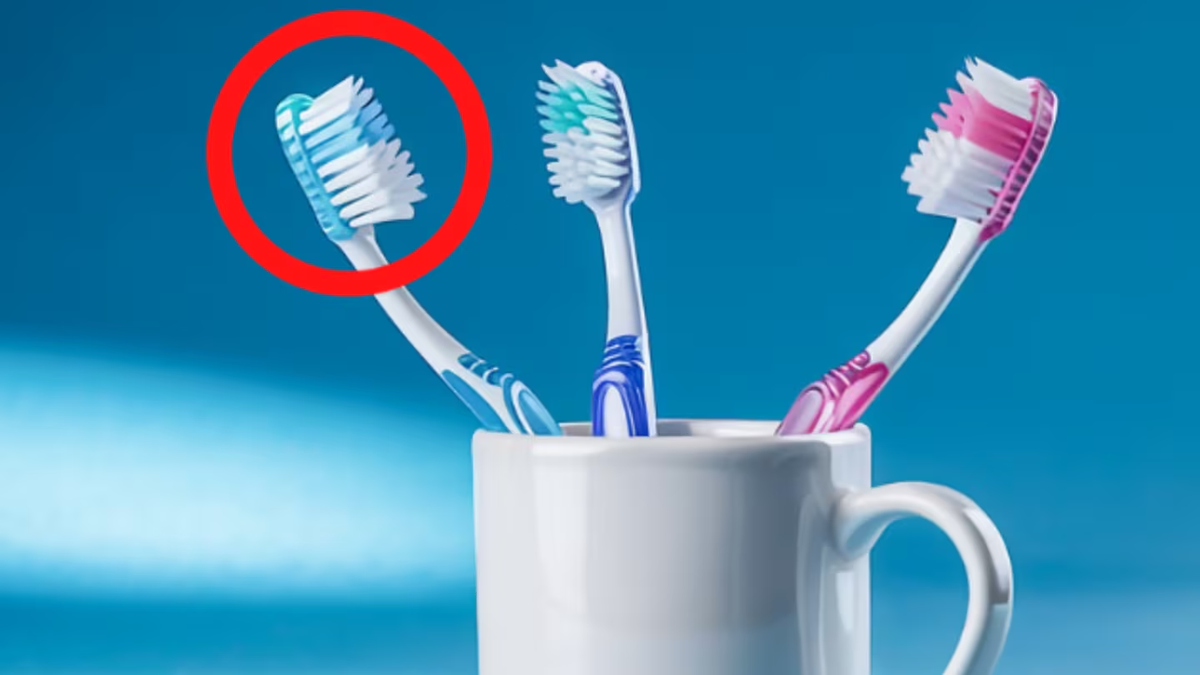 Casi nadie lo sabe: qu&eacute; significan los colores en los cepillos de dientes