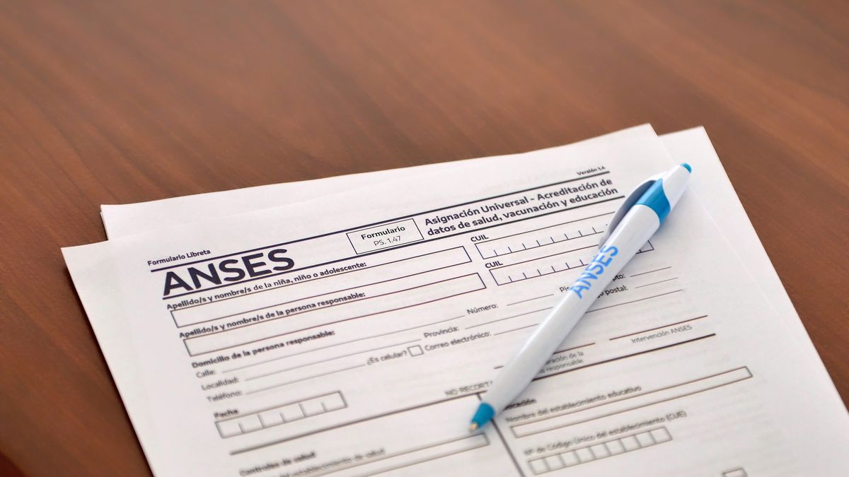 Libreta AUH de ANSES. (Foto: archivo) Libreta AUH de ANSES. (Foto: archivo)
