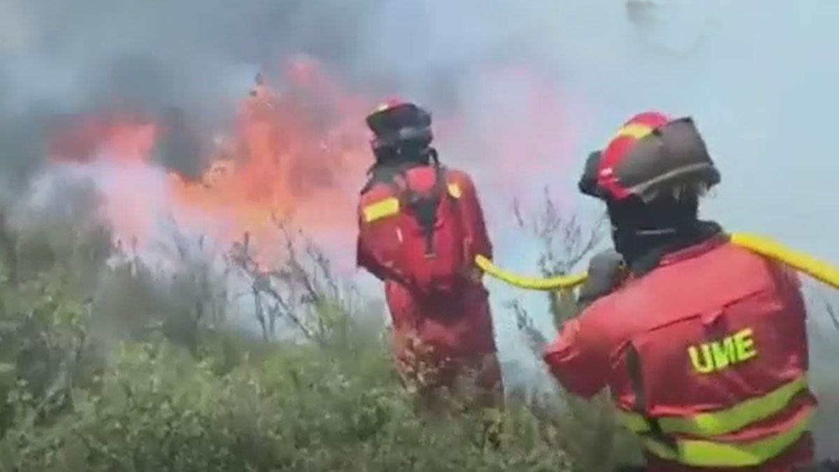 La ola de Calor extremo provoca incendios en las campos y montañas de España (Foto: AP)