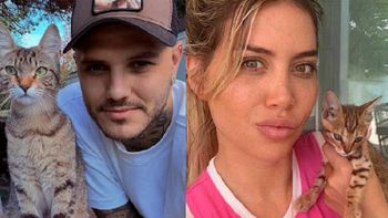 El fastidio de Wanda Nara por el destino de las mascotas que tenía con Mauro Icardi en Turquía