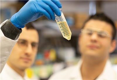 Un estudio científico demuestra que todos los infectados por COVID-19 desarrollan anticuerpos que evitarían el recontagio