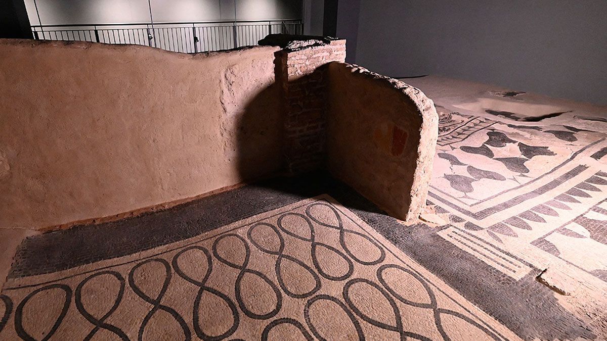 Los restos hallados en las excavaciones de lo que iba a ser un estacionamiento.
