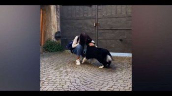El video que conmueve a Italia: una chica se reencuentra con su perra tras dos meses de cuarentena