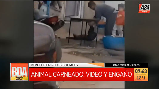 Conmoción por la Fake News de un perro carneado en Quilmes