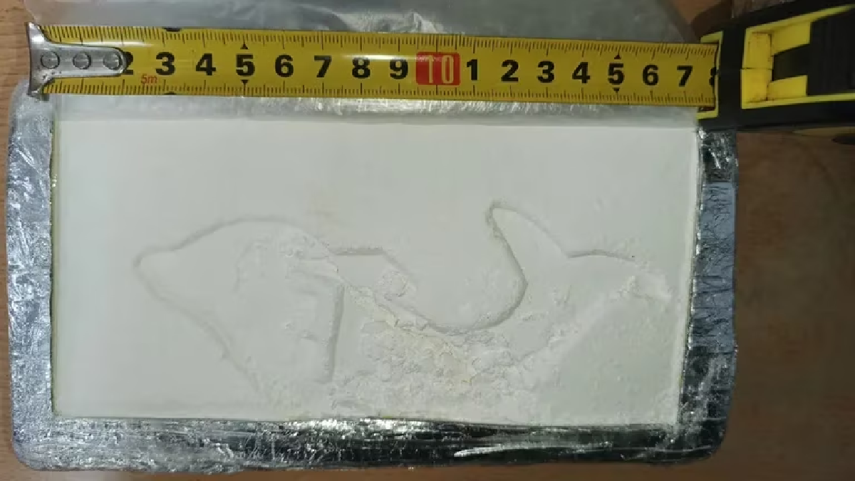 Im&aacute;genes del operativo por el faltante de m&aacute;s de 15 kilos de coca&iacute;na. (Foto: Prensa)
