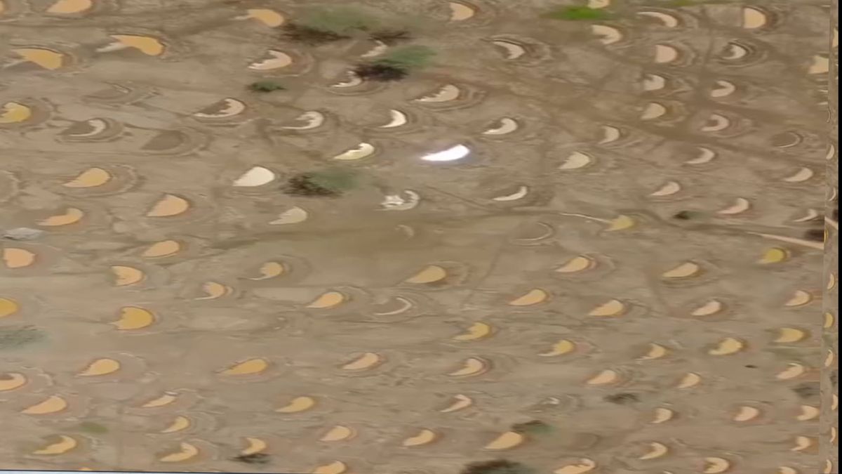 El comienzo del proceso. Pequeñas medialunas que retendrán agua para crear oasis en el desierto del Sahara (Foto: captura de TV).