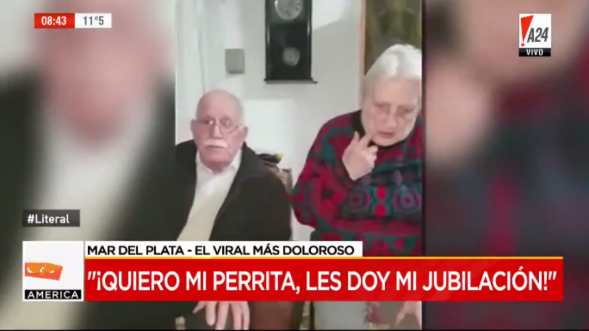 El dramático pedido de una pareja de ancianos a la que le robaron su perro: Por favor, les doy mi jubilación