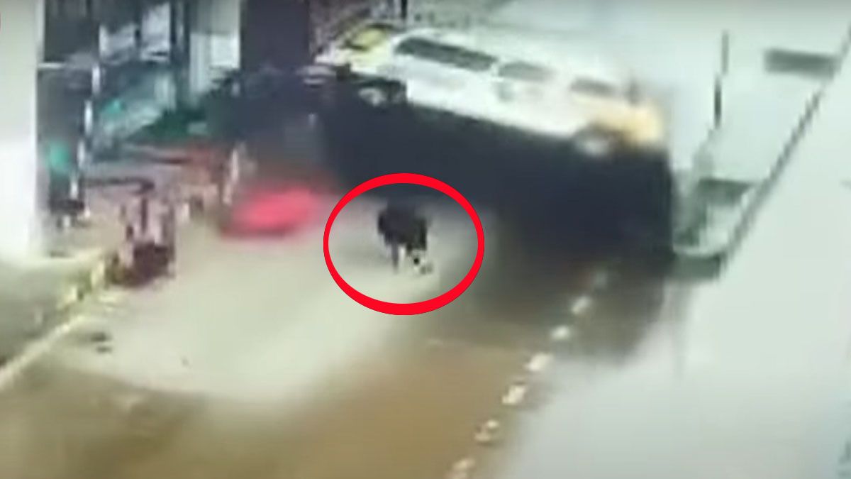 Hay un ternero tendido sobre el asfalto. Justo por donde debe pasar la ambulancia.¿ fue la causa del accidente fatal? (Foto: Captura de Pantalla)