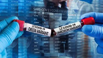 Llas variantes Delta y Ómicron, en lucha por la prevalencia en la pandemia de coronavirus (Foto: Archivo)