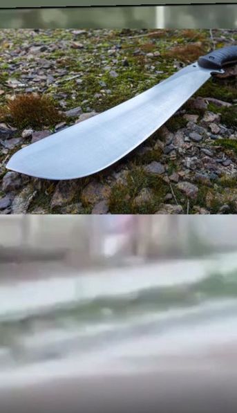 Video: un joven quiso evitar el femicidio de su mamá y terminó con un machetazo en la cabeza