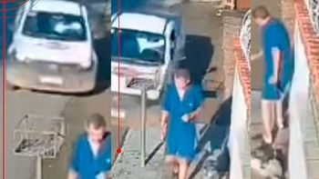 paseaba a su perro cuando un auto perdio el control y casi lo atropella