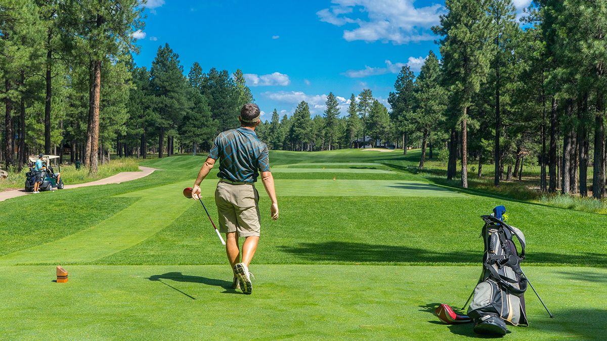Un estudio científico demostró que jugar al golf previene la demencia en hombres. (Foto: Pixabay)