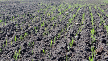 FAO: aprueban protocolo para la captura de carbono en suelos agrícolas y ganaderos