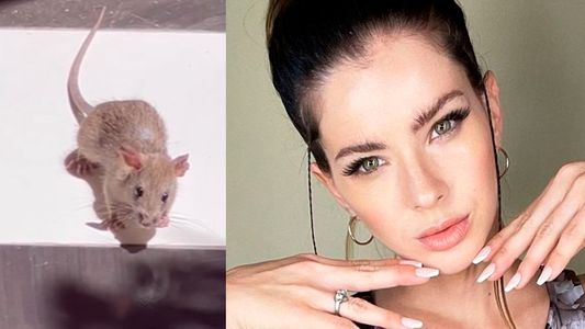 La llamativa reacción de La China Suárez al ver un ratón