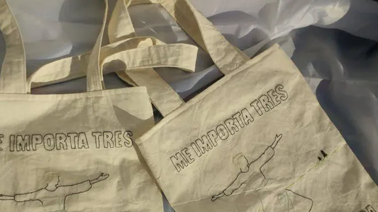Encargó unas bolsas de tela de La Novicia Rebelde, y lo que llegó bordado fue insólito.