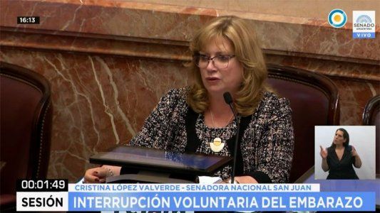Los discursos más polémicos del debate: Vivaldi, la Virgen María y una senadora que ni leyó el proyecto