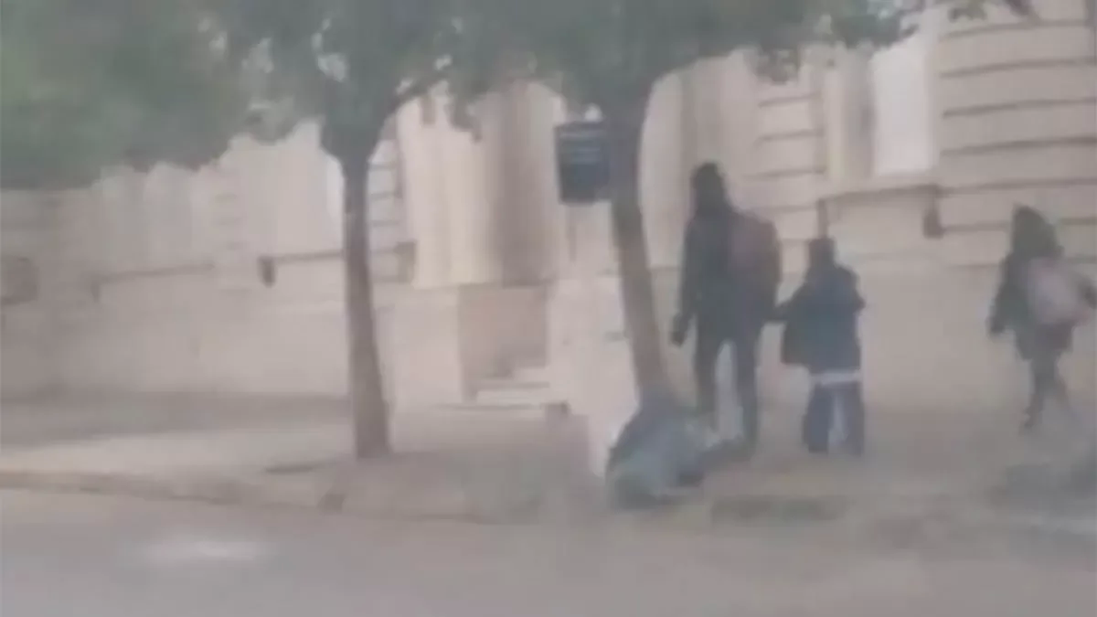 Una mamá llevó a sus hijos a la escuela el día del Censo 2022 y estaba cerrada (Foto: captura de TikTok).
