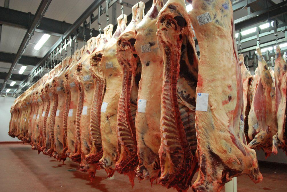 El ministerio de Agricultura suspendió a 15 exportadores de carne por irregularidades