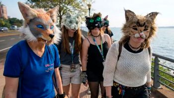 Un video explica los riesgos y daños físicos de ser therian por 24 horas