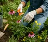 Jardín en modo rescate: 7 tareas simples para devolverle orden y vida