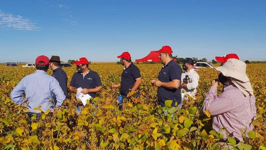 Un fungicida para la soja de producción argentina debuta en Paraguay