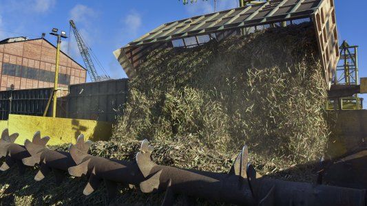 Ledesma reporta una ganancia de $736 millones y mejora su producción de azúcar